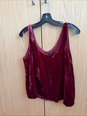 J. Crew Velvet Lined Camisole in Wine